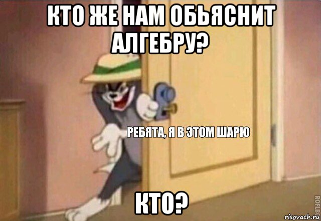 кто же нам обьяснит алгебру? кто?, Мем    Ребята я в этом шарю