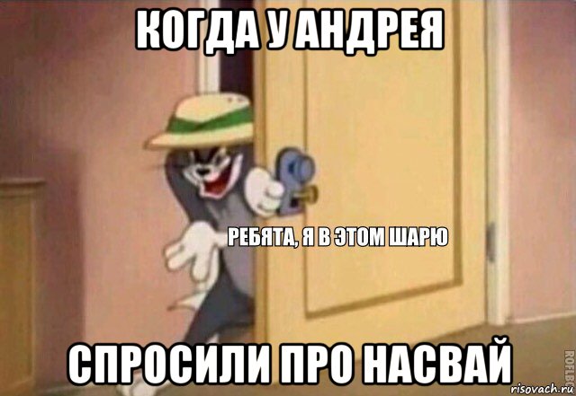 когда у андрея спросили про насвай, Мем    Ребята я в этом шарю