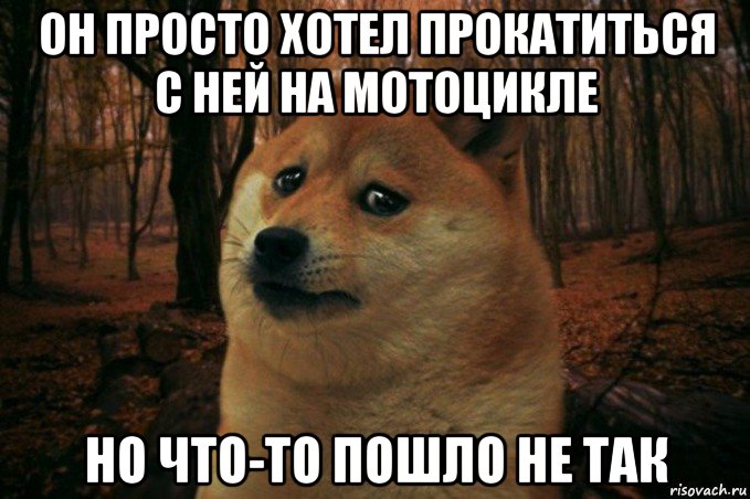 он просто хотел прокатиться с ней на мотоцикле но что-то пошло не так, Мем SAD DOGE