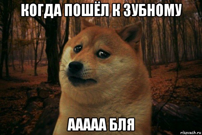 когда пошёл к зубному ааааа бля, Мем SAD DOGE