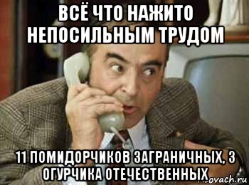 всё что нажито непосильным трудом 11 помидорчиков заграничных, 3 огурчика отечественных