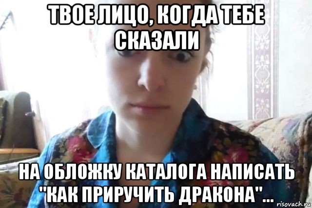 твое лицо, когда тебе сказали на обложку каталога написать "как приручить дракона"..., Мем    Скайп файлообменник