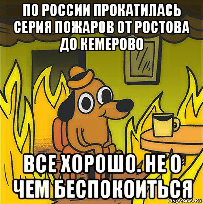 по россии прокатилась серия пожаров от ростова до кемерово все хорошо. не о чем беспокоиться, Мем Собака в огне