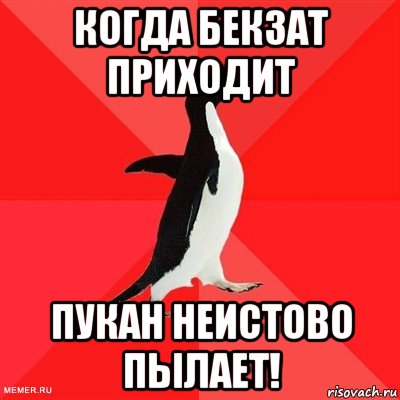 когда бекзат приходит пукан неистово пылает!, Мем  социально-агрессивный пингвин