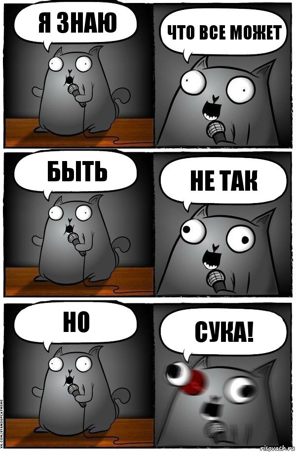 Я знаю Что все может Быть не так Но СУКА!, Комикс  Стендап-кот