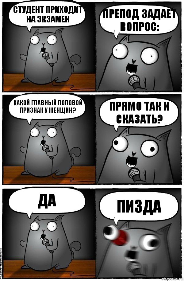 студент приходит на экзамен ПРЕПОД ЗАДАЕТ ВОПРОС: КАКОЙ ГЛАВНЫЙ ПОЛОВОЙ ПРИЗНАК У ЖЕНЩИН? ПРЯМО ТАК И СКАЗАТЬ? ДА ПИЗДА, Комикс  Стендап-кот