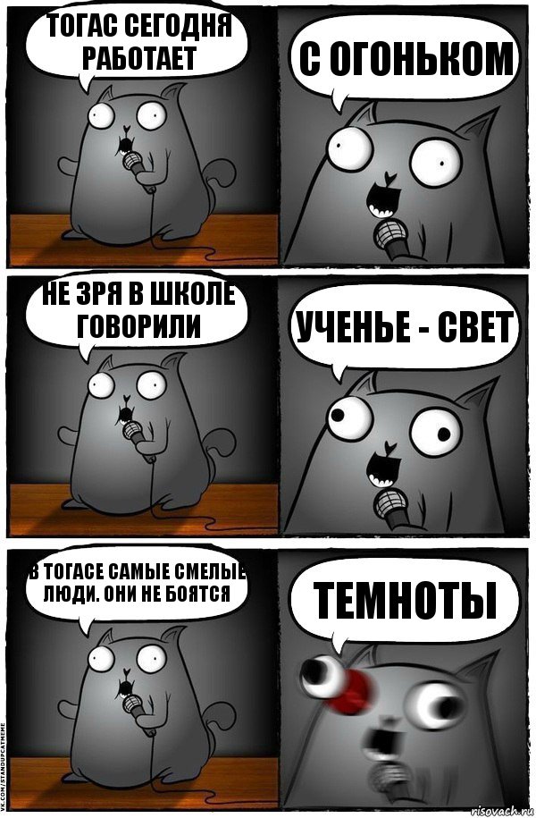 Тогас сегодня работает с огоньком Не зря в школе говорили ученье - свет В Тогасе самые смелые люди. они не боятся темноты, Комикс  Стендап-кот