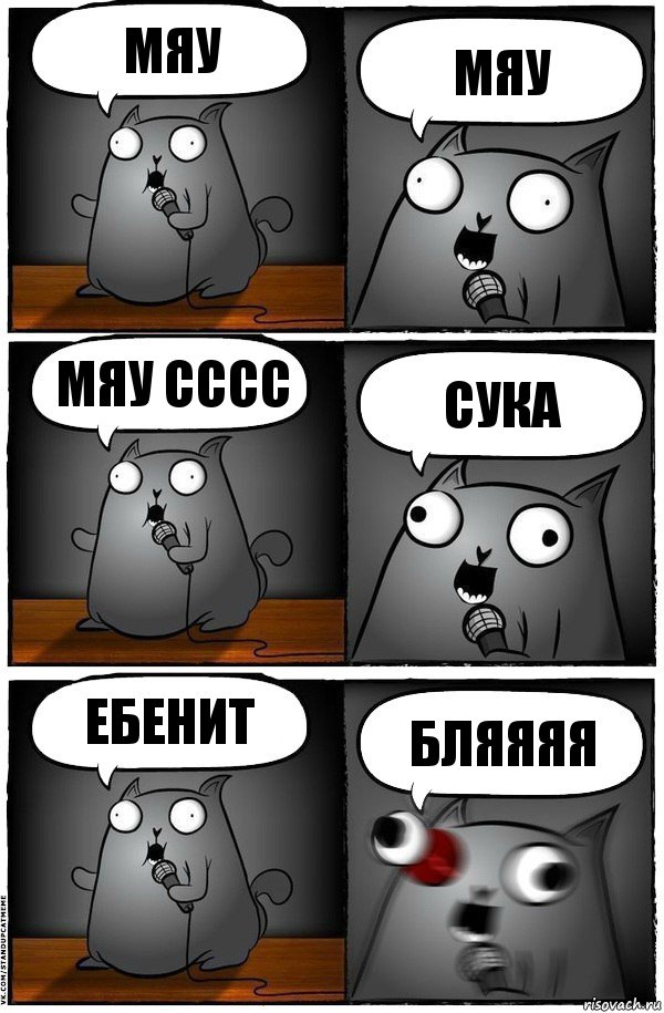 мяу мяу мяу сссс сука ебенит бляяяя, Комикс  Стендап-кот