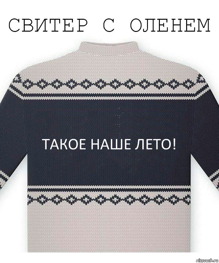 Такое наше лето!, Комикс  Свитер с оленем