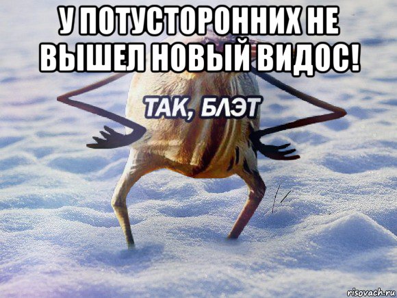 у потусторонних не вышел новый видос! , Мем  Так блэт птица с руками