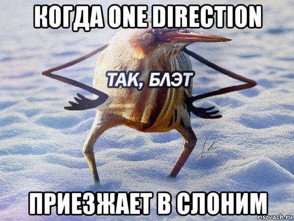 когда one direction приезжает в слоним, Мем  Так блэт птица с руками