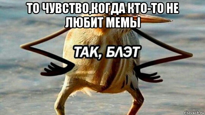 то чувство,когда кто-то не любит мемы , Мем  Так блэт