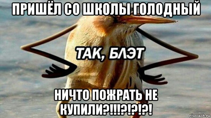 пришёл со школы голодный ничто пожрать не купили?!!!?!?!?!, Мем  Так блэт