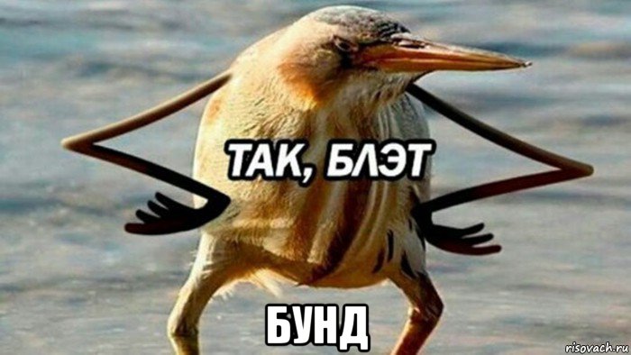  бунд, Мем  Так блэт