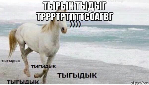 тырык тыдыг тррртртпттсоагвг , Мем   Тыгыдык