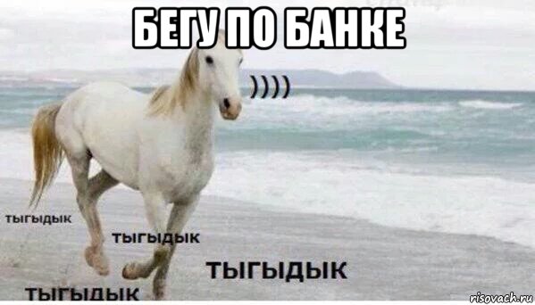 бегу по банке , Мем   Тыгыдык