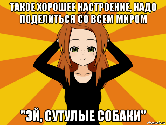 такое хорошее настроение, надо поделиться со всем миром "эй, сутулые собаки", Мем Типичный игрок кисекае