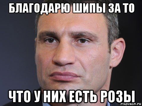 благодарю шипы за то что у них есть розы