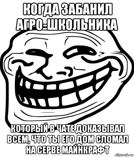 когда забанил агро-школьника который в чате доказывал всем, что ты его дом сломал на серве майнкрафт