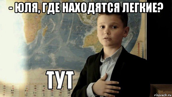 - юля, где находятся легкие? , Мем Тут (школьник)