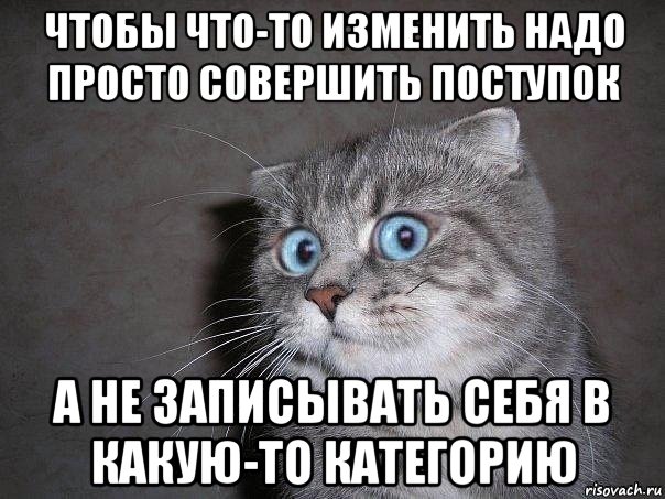 чтобы что-то изменить надо просто совершить поступок а не записывать себя в какую-то категорию, Мем  удивлённый кот