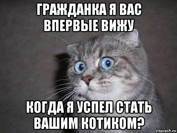 гражданка я вас впервые вижу когда я успел стать вашим котиком?, Мем  удивлённый кот