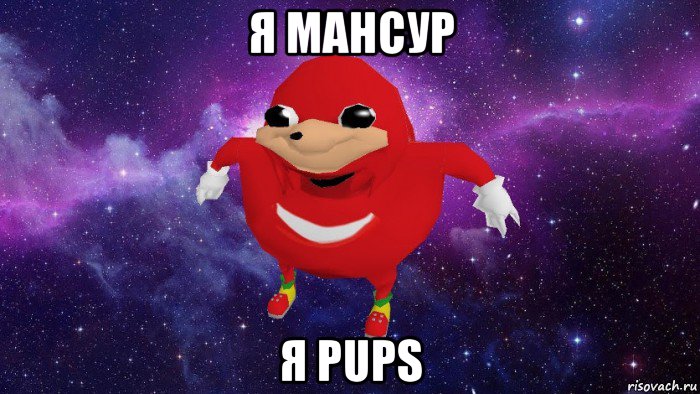 я мансур я pups