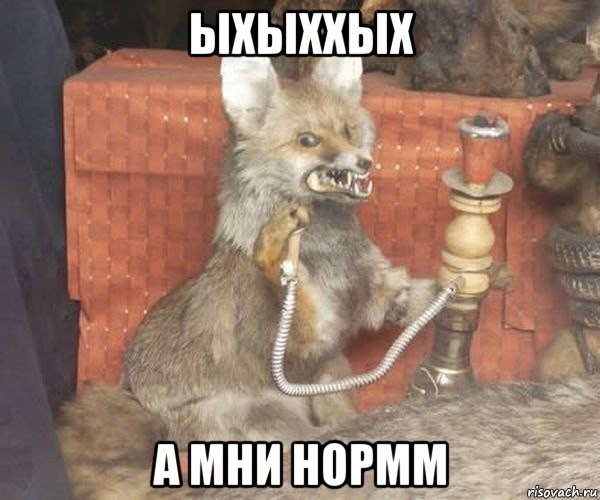 ыхыххых а мни нормм