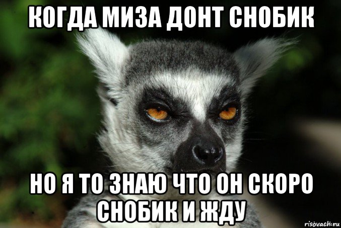 когда миза донт снобик но я то знаю что он скоро снобик и жду, Мем   Я збагоен