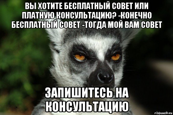 вы хотите бесплатный совет или платную консультацию? -конечно бесплатный совет -тогда мой вам совет запишитесь на консультацию, Мем   Я збагоен