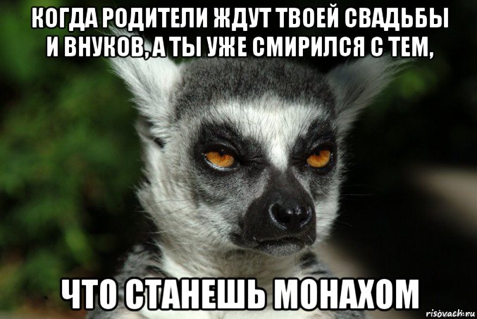 когда родители ждут твоей свадьбы и внуков, а ты уже смирился с тем, что станешь монахом