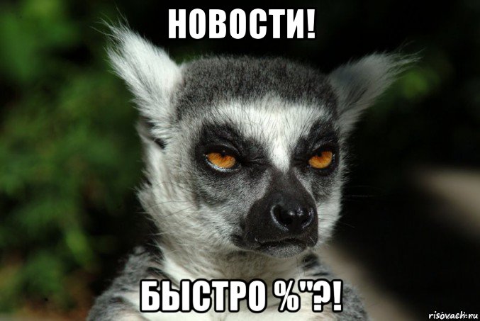 новости! быстро %"?!