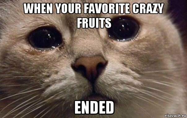 when your favorite crazy fruits ended, Мем   В мире грустит один котик