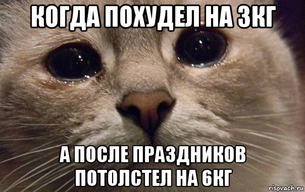 когда похудел на 3кг а после праздников потолстел на 6кг, Мем   В мире грустит один котик