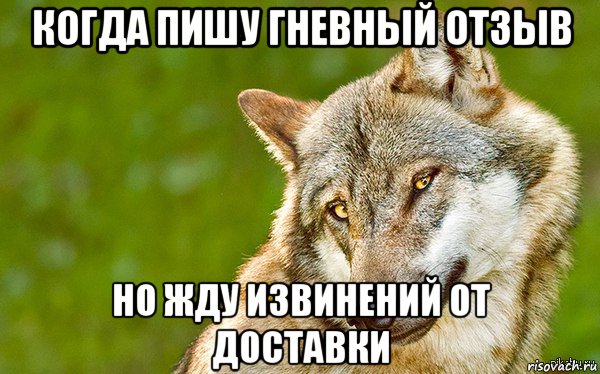 когда пишу гневный отзыв но жду извинений от доставки, Мем   Volf