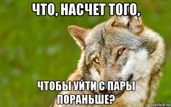 что, насчет того, чтобы уйти с пары пораньше?, Мем   Volf