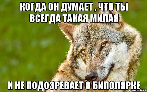 когда он думает , что ты всегда такая милая и не подозревает о биполярке, Мем   Volf