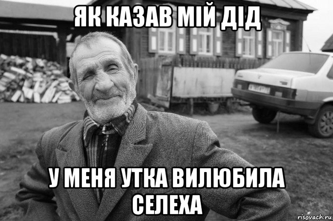 як казав мій дід у меня утка вилюбила селеха, Мем Як казав мій дід