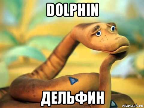 dolphin дельфин, Мем  задумчивый удав