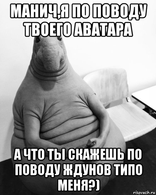 манич,я по поводу твоего аватара а что ты скажешь по поводу ждунов типо меня?), Мем  Ждун