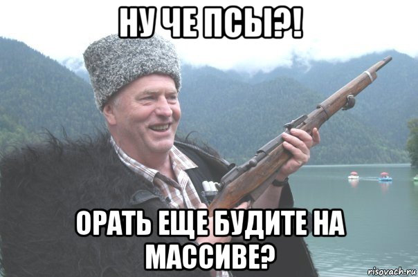 ну че псы?! орать еще будите на массиве?, Мем жирик