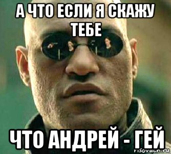 а что если я скажу тебе что андрей - гей, Мем  а что если я скажу тебе