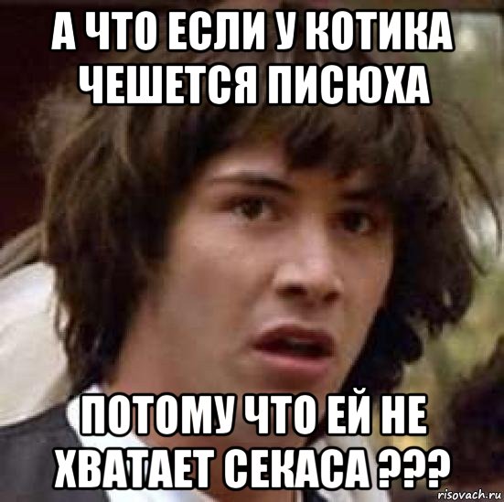 а что если у котика чешется писюха потому что ей не хватает секаса ???, Мем А что если (Киану Ривз)