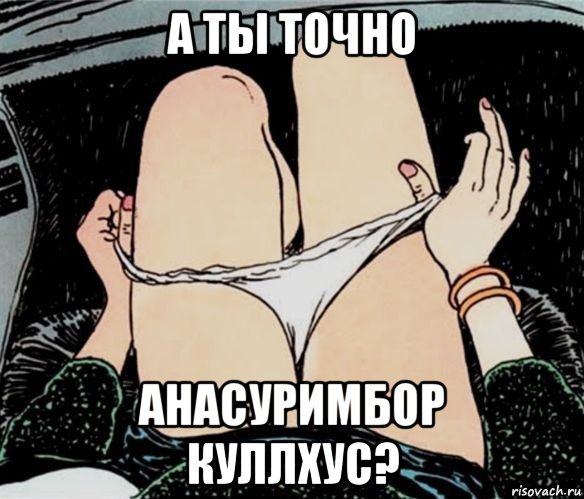 а ты точно анасуримбор куллхус?, Мем А ты точно