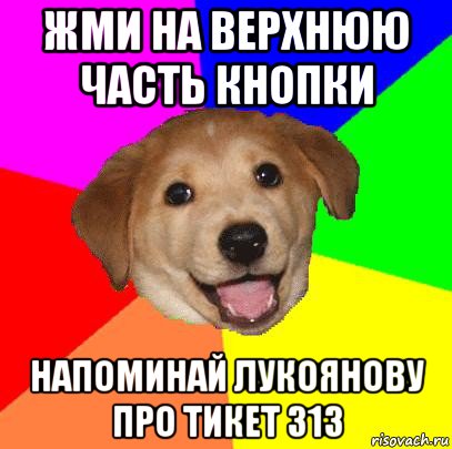 жми на верхнюю часть кнопки напоминай лукоянову про тикет 313, Мем Advice Dog