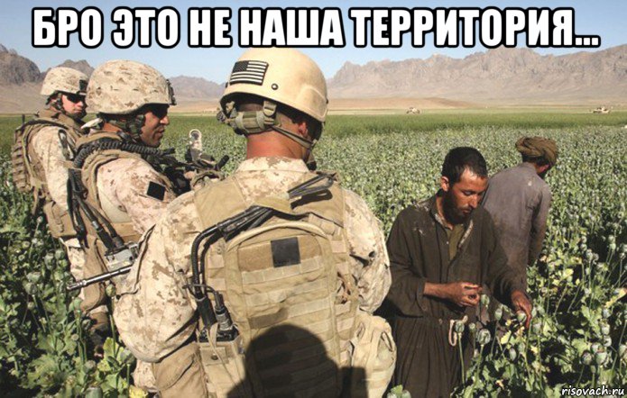 бро это не наша территория... , Мем Афгансельхоз