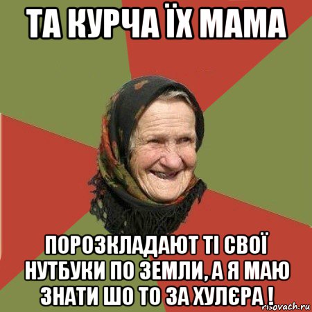 та курча їх мама порозкладают ті свої нутбуки по земли, а я маю знати шо то за хулєра !, Мем  Бабушка