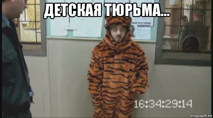 детская тюрьма... , Мем Бородач в костюме тигра (Наша Раша)