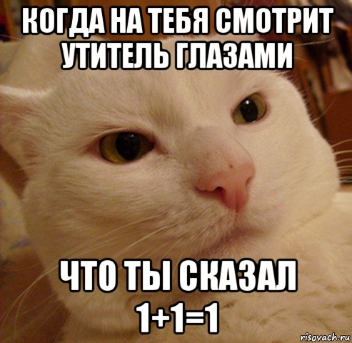 когда на тебя смотрит утитель глазами что ты сказал 1+1=1