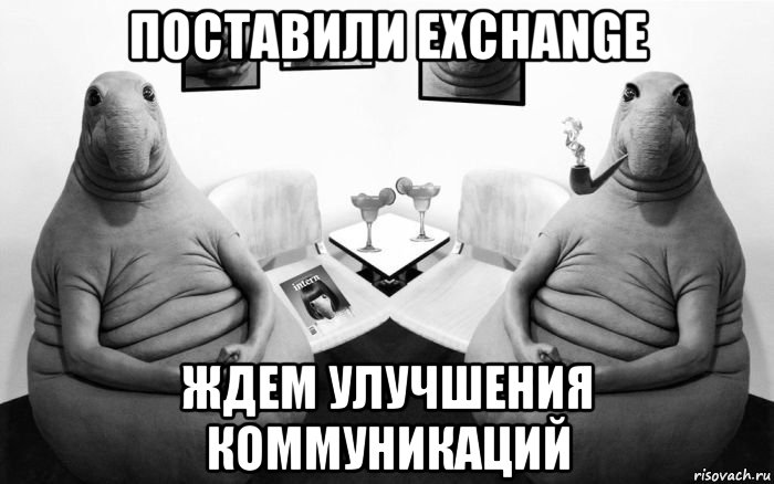 поставили exchange ждем улучшения коммуникаций